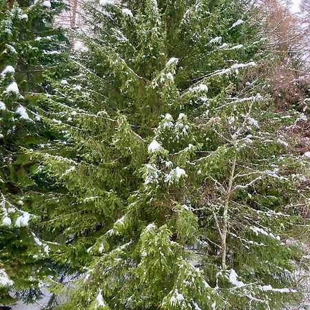Appartamento Sulle Piste Folgarida Bagian luar foto