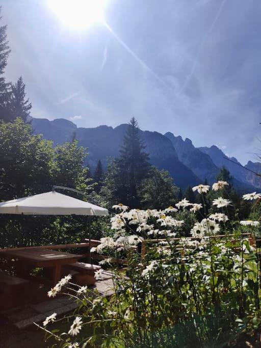 Appartamento Sulle Piste Folgarida Bagian luar foto