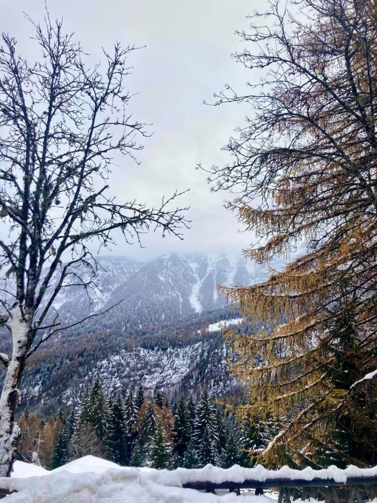 Appartamento Sulle Piste Folgarida Bagian luar foto